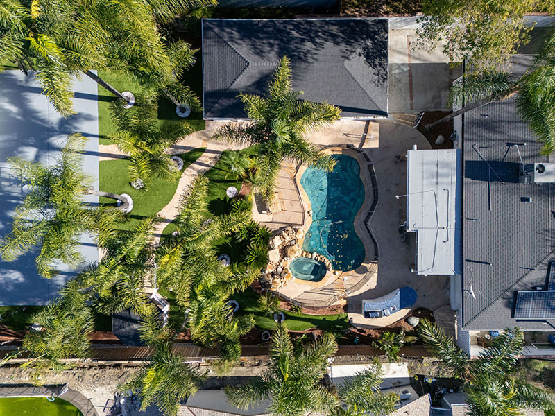 Aerial view looking down over the pool and spa surrounded by palm trees
